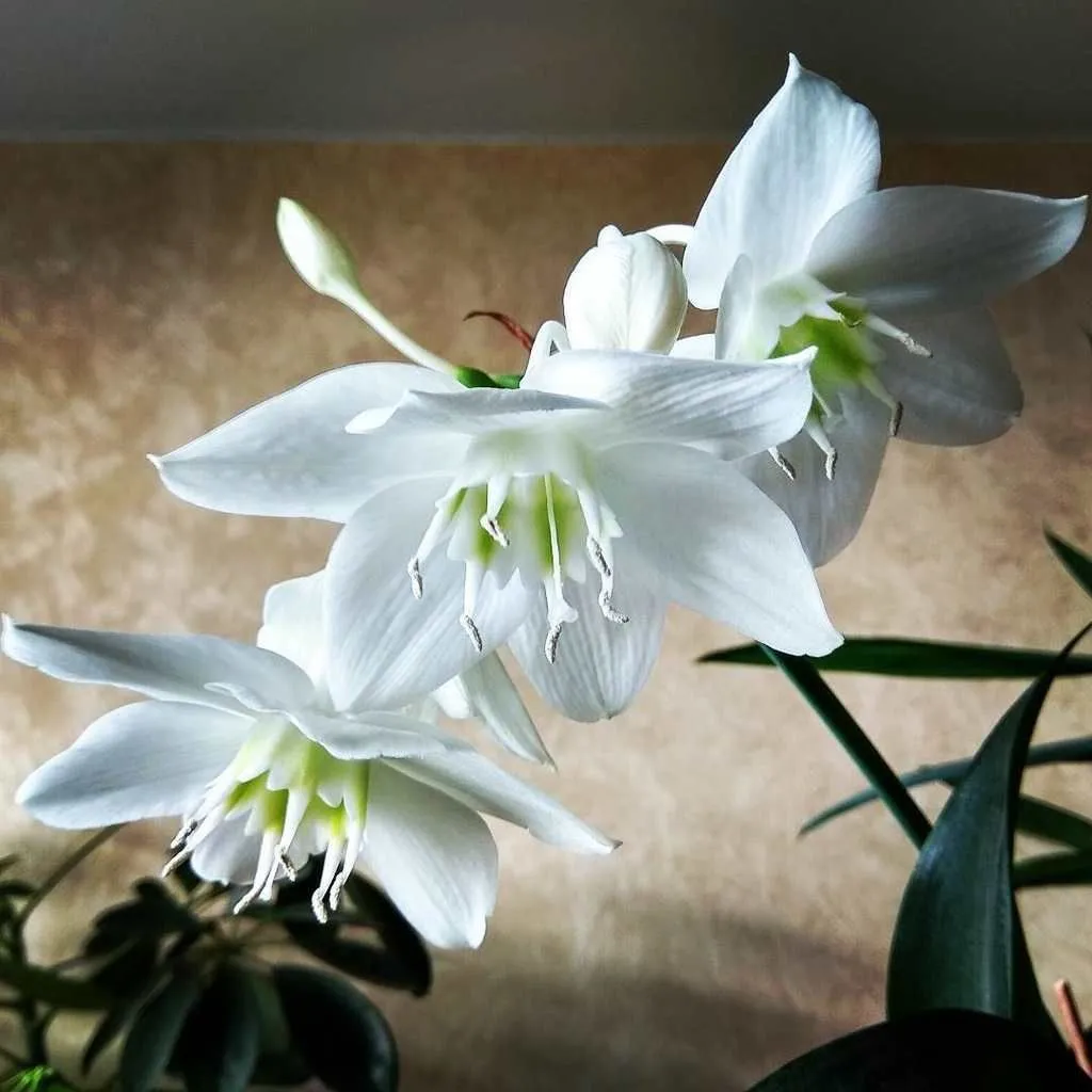 Фото 2