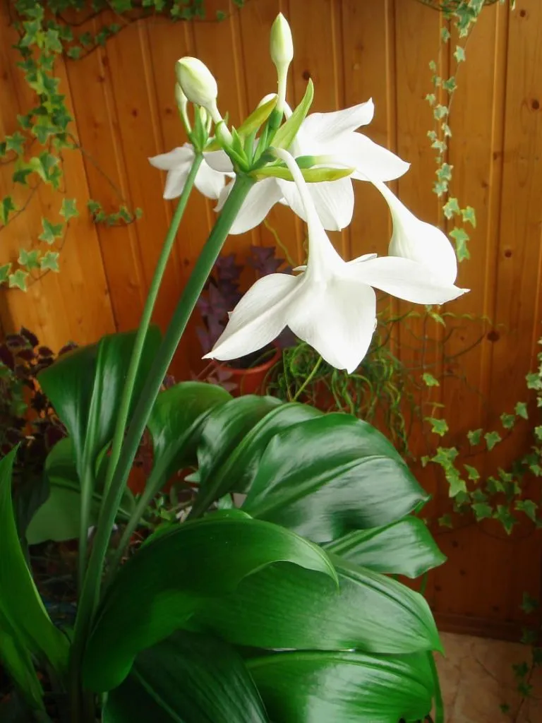 Фото 3