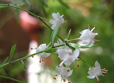 Фото 9