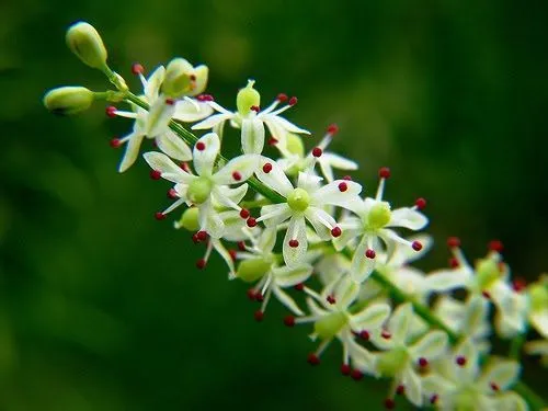 Фото 6