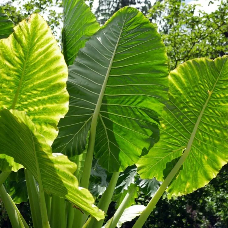 Фото 2