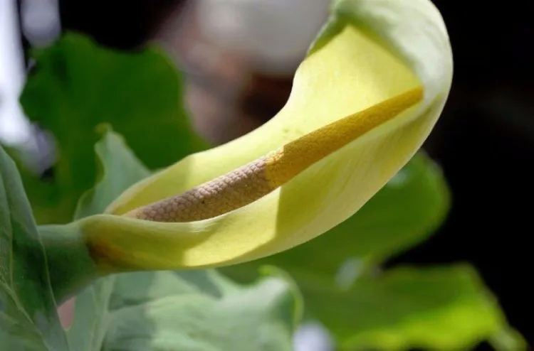 Фото 9