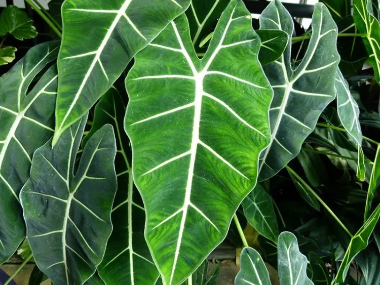 Фото 4
