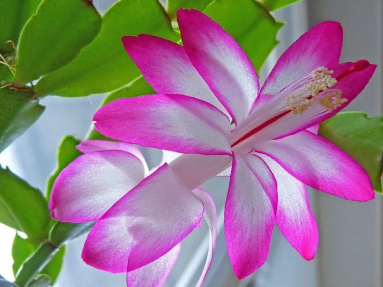 Фото 3