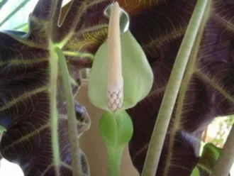 Фото 9