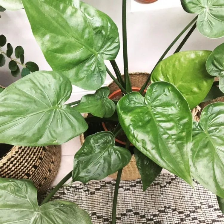 Фото 9