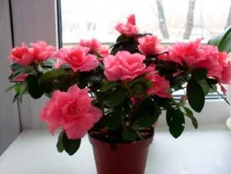 Фото 2