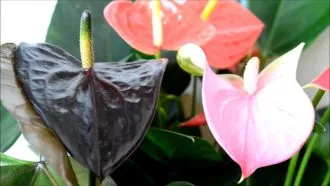 Фото 3