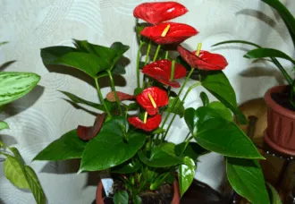 Фото 2