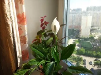 Фото 6