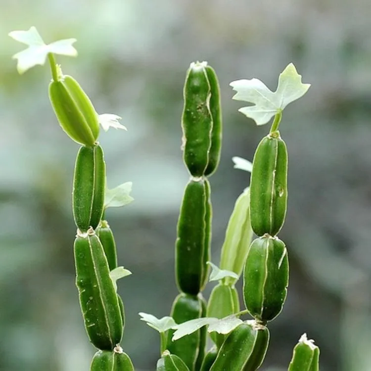 Фото 3