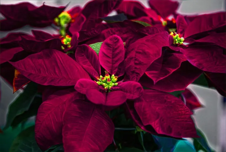 Фото 3