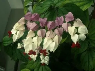 Фото 4