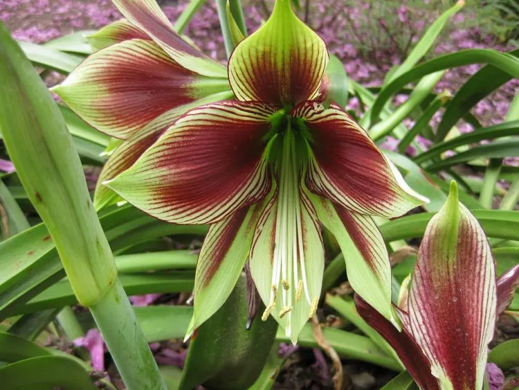 Фото 2