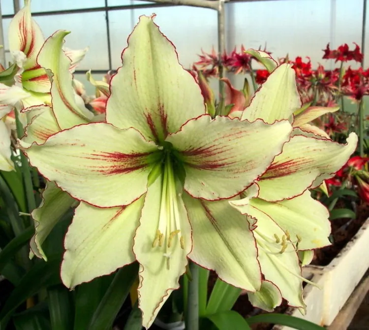 Фото 6