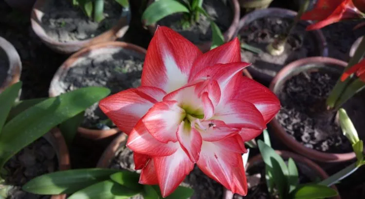 Фото 9