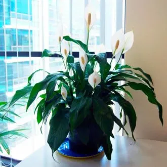 Фото 2