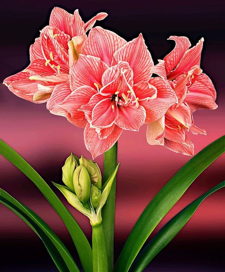 Фото 6