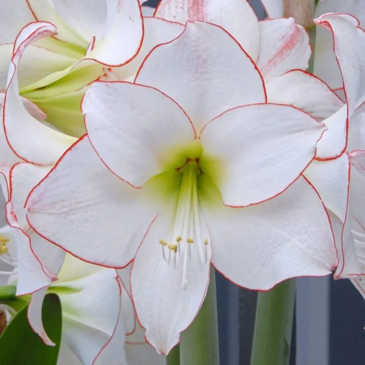 Фото 2
