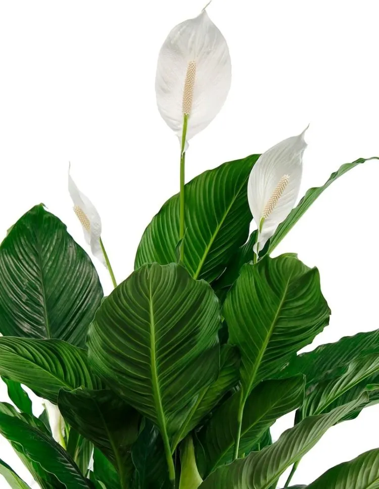 Фото 2