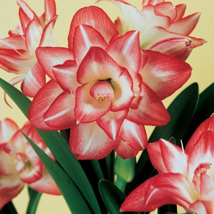 Фото 3