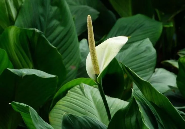 Фото 6