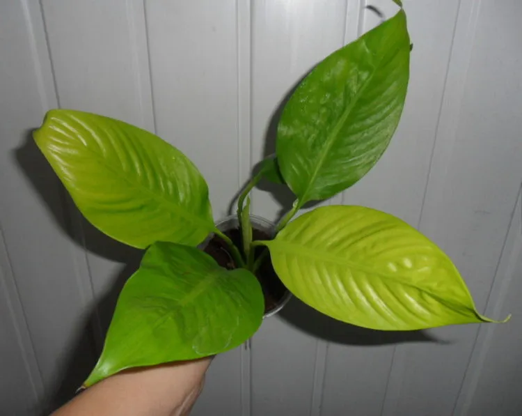 Фото 6