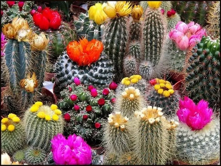 Фото 4