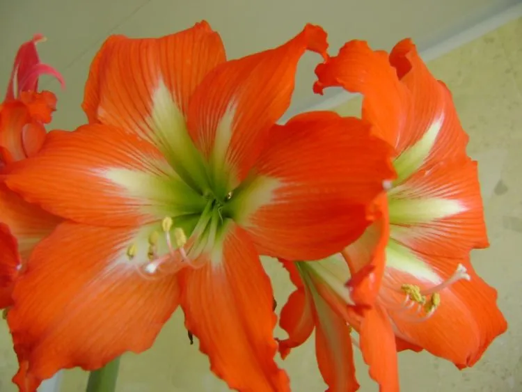 Фото 6
