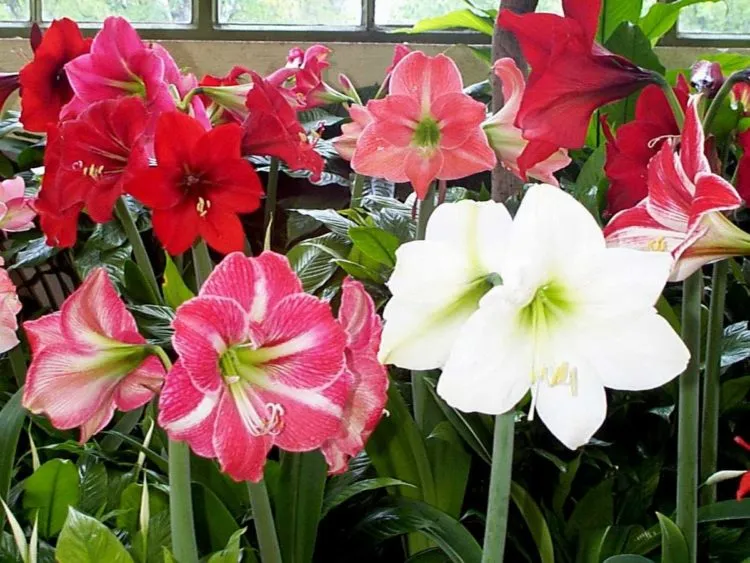 Фото 3