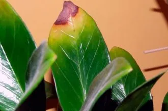 Фото 9