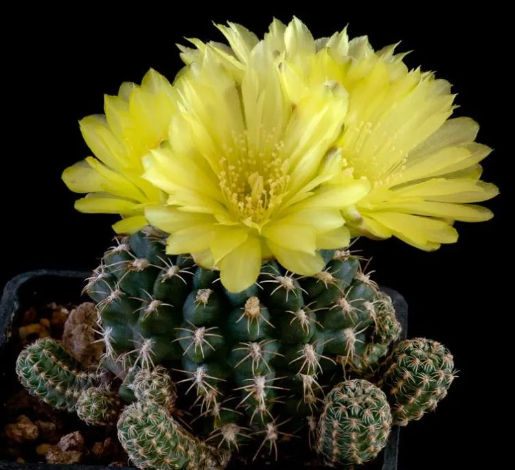Фото 3
