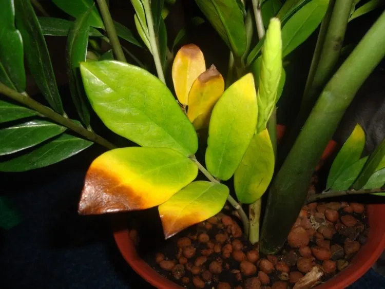 Фото 2