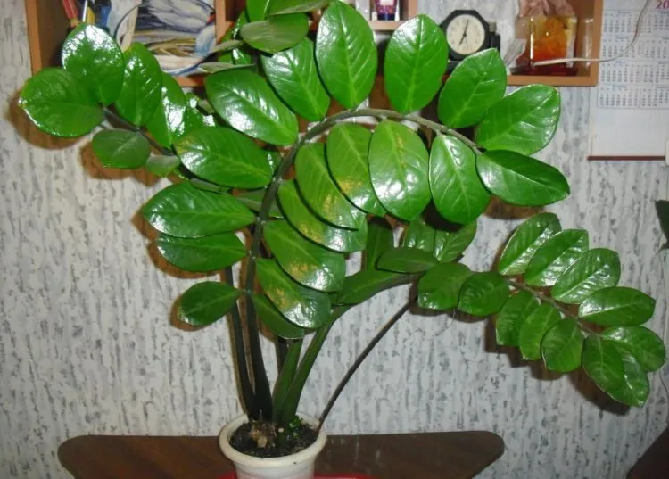 Фото 6