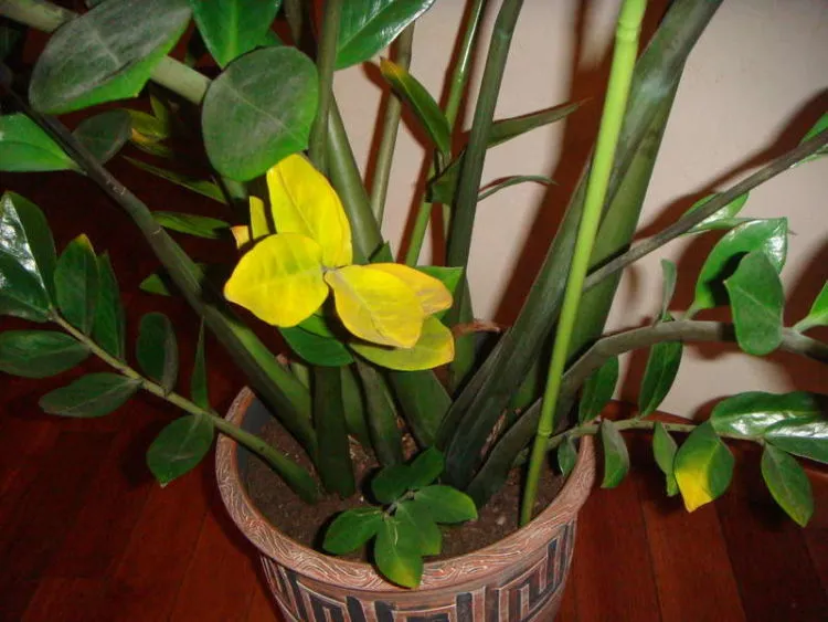 Фото 4