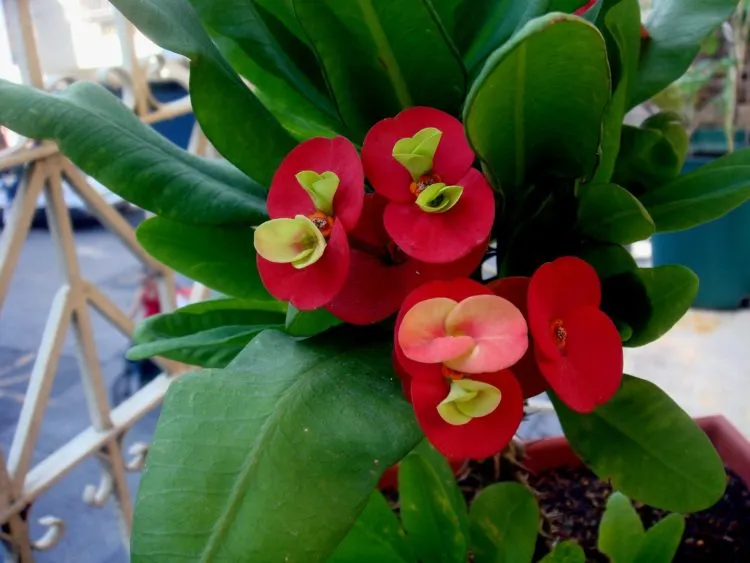 Фото 2