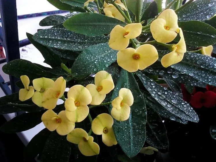 Фото 6