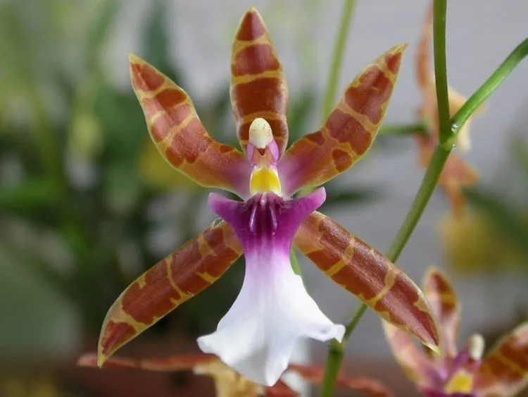 Фото 2