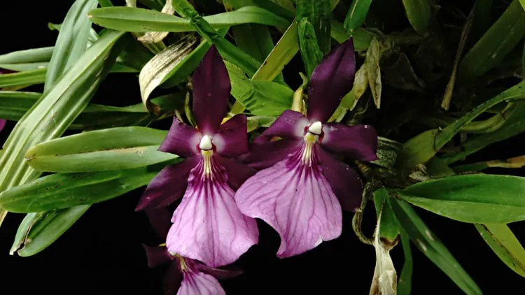 Фото 6