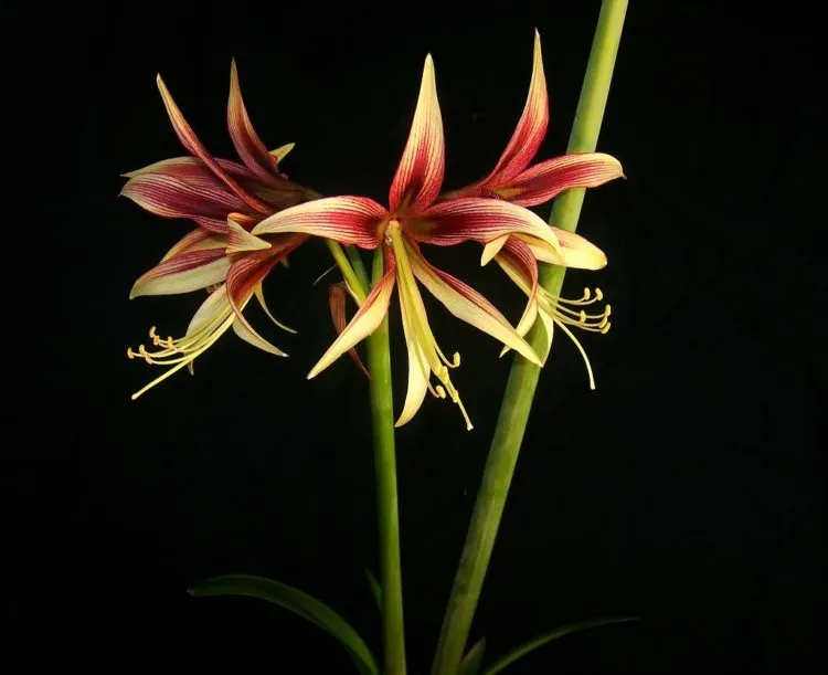 Фото 9