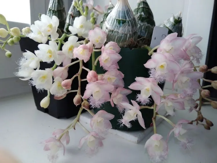 фото 2