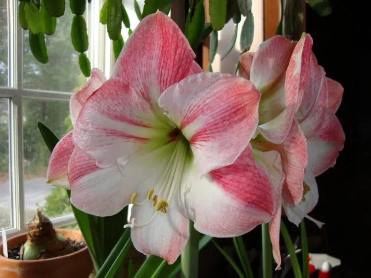 Фото 6