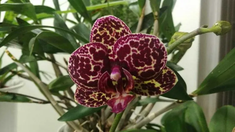 Фото 2