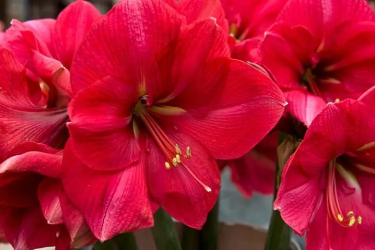 Фото 3