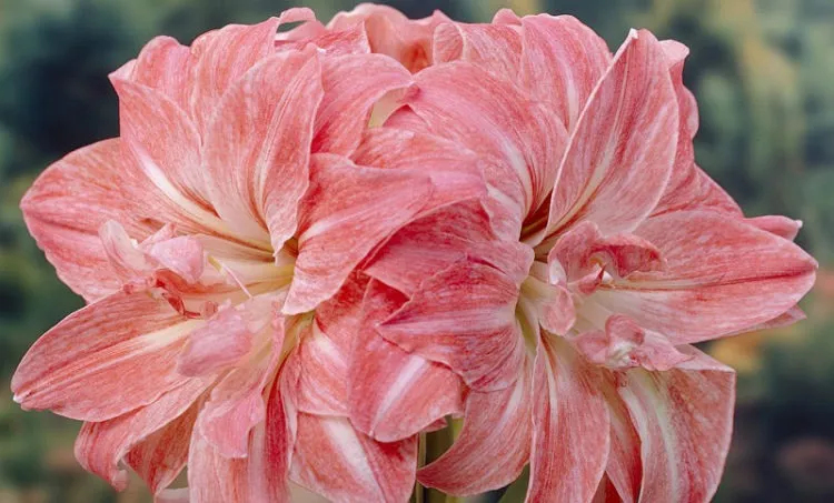 Фото 2