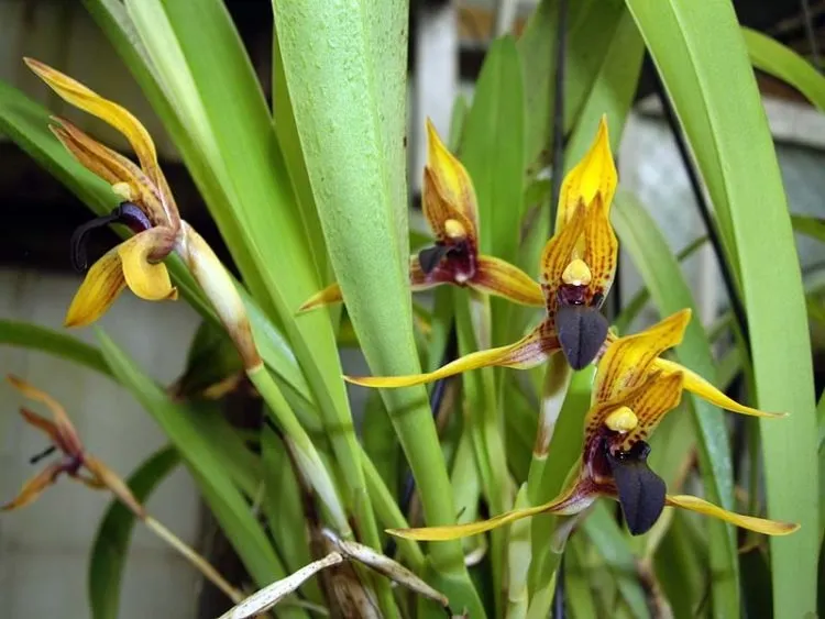 Фото 6