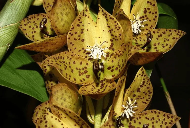 фото 5